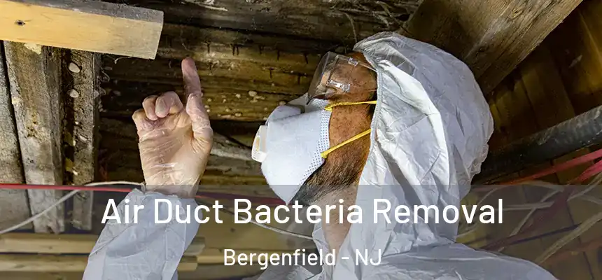  Air Duct Bacteria Removal Bergenfield - NJ