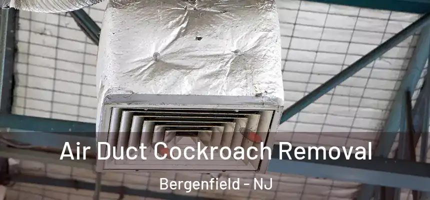  Air Duct Cockroach Removal Bergenfield - NJ