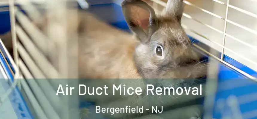  Air Duct Mice Removal Bergenfield - NJ
