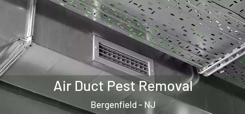 Air Duct Pest Removal Bergenfield - NJ