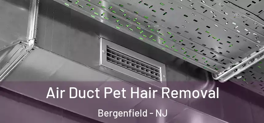 Air Duct Pet Hair Removal Bergenfield - NJ