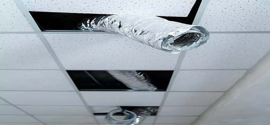 Affordable HVAC Sanitizing After Pest Removal in Bergenfield