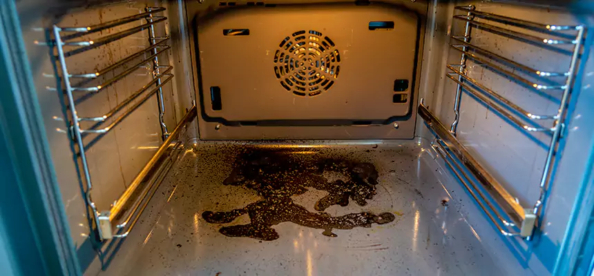 Our Dryer Vent Mold Cleaning Services in Bergenfield, NJ