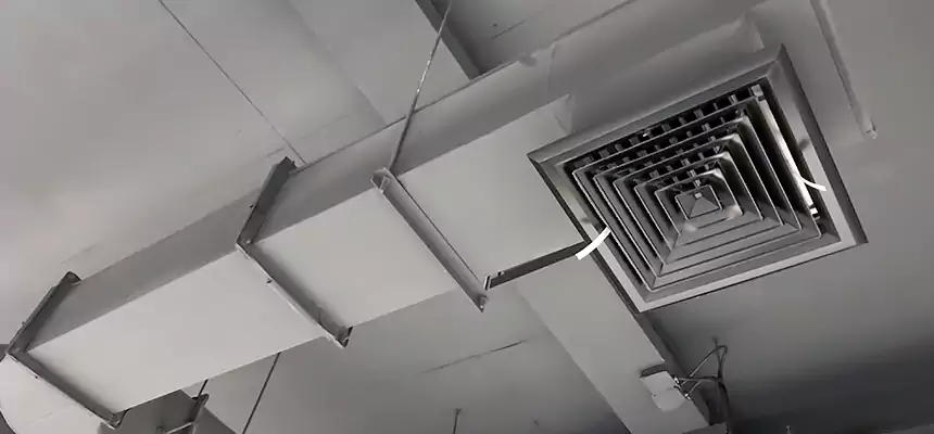 Our Pest Removal From Ducts Services in Bergenfield, NJ