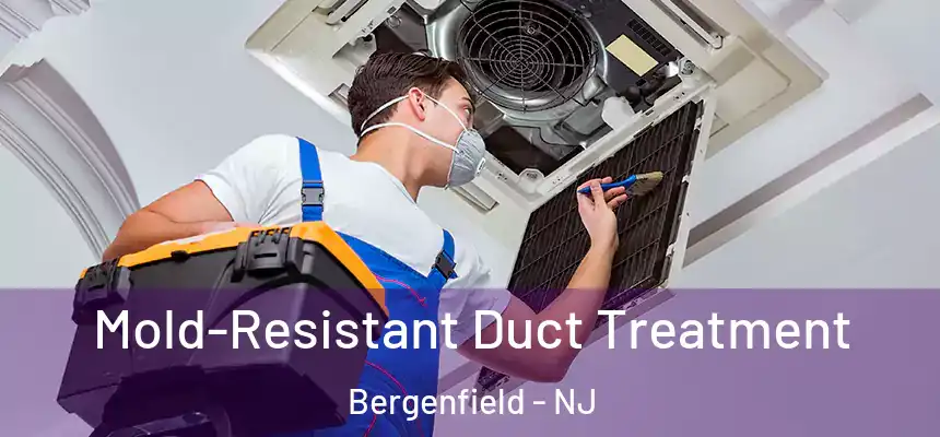 Mold-Resistant Duct Treatment Bergenfield - NJ