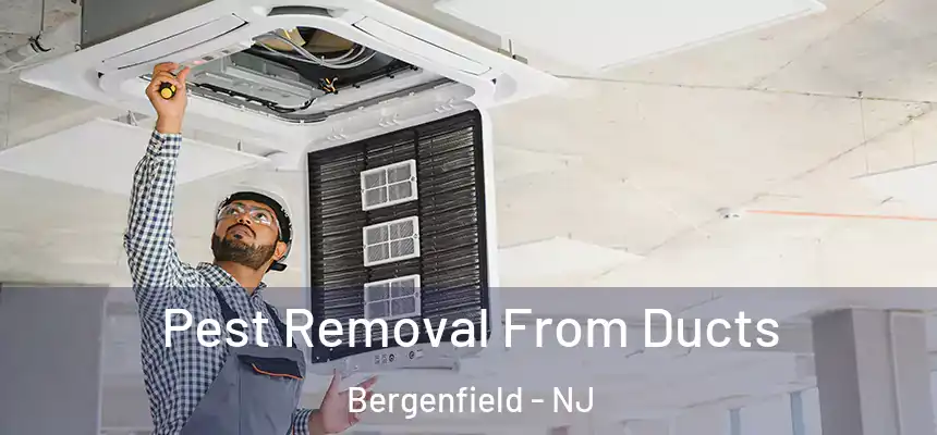  Pest Removal From Ducts Bergenfield - NJ
