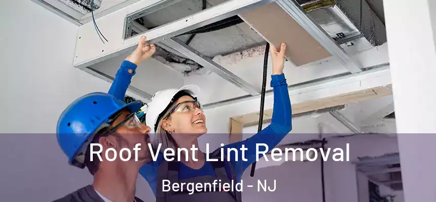  Roof Vent Lint Removal Bergenfield - NJ