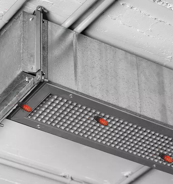 About Air Duct Cockroach Removal in Bergenfield, NJ