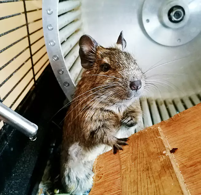 Why Homeowners & Businesses Trust Us Bergenfield, NJ