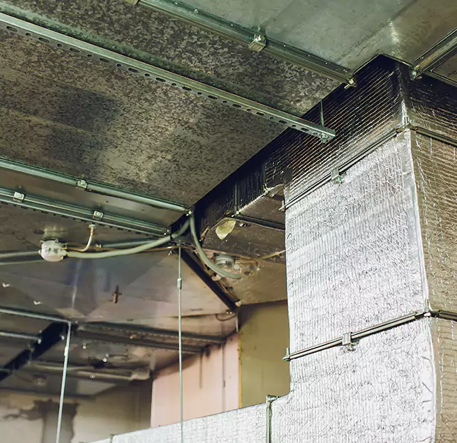 Why Homeowners & Businesses Trust Us in Bergenfield, NJ?