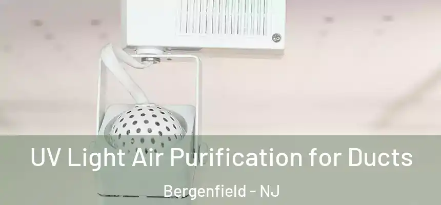  UV Light Air Purification for Ducts Bergenfield - NJ